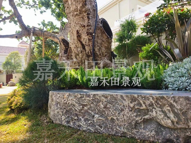 樹木在園林景觀設計中有哪些作用？